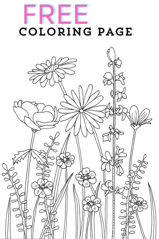 Free coloring page - wild flowers - Eliza Anderson Art