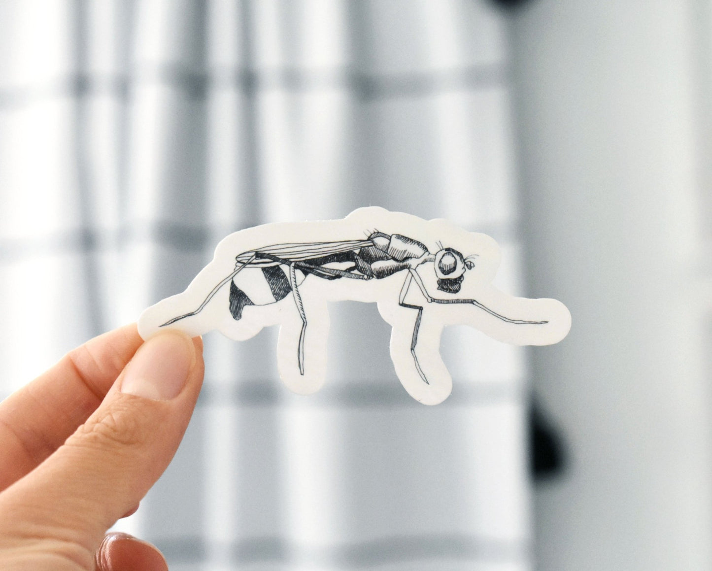 Black and white ant sticker - Eliza Anderson ArtEliza Anderson Art