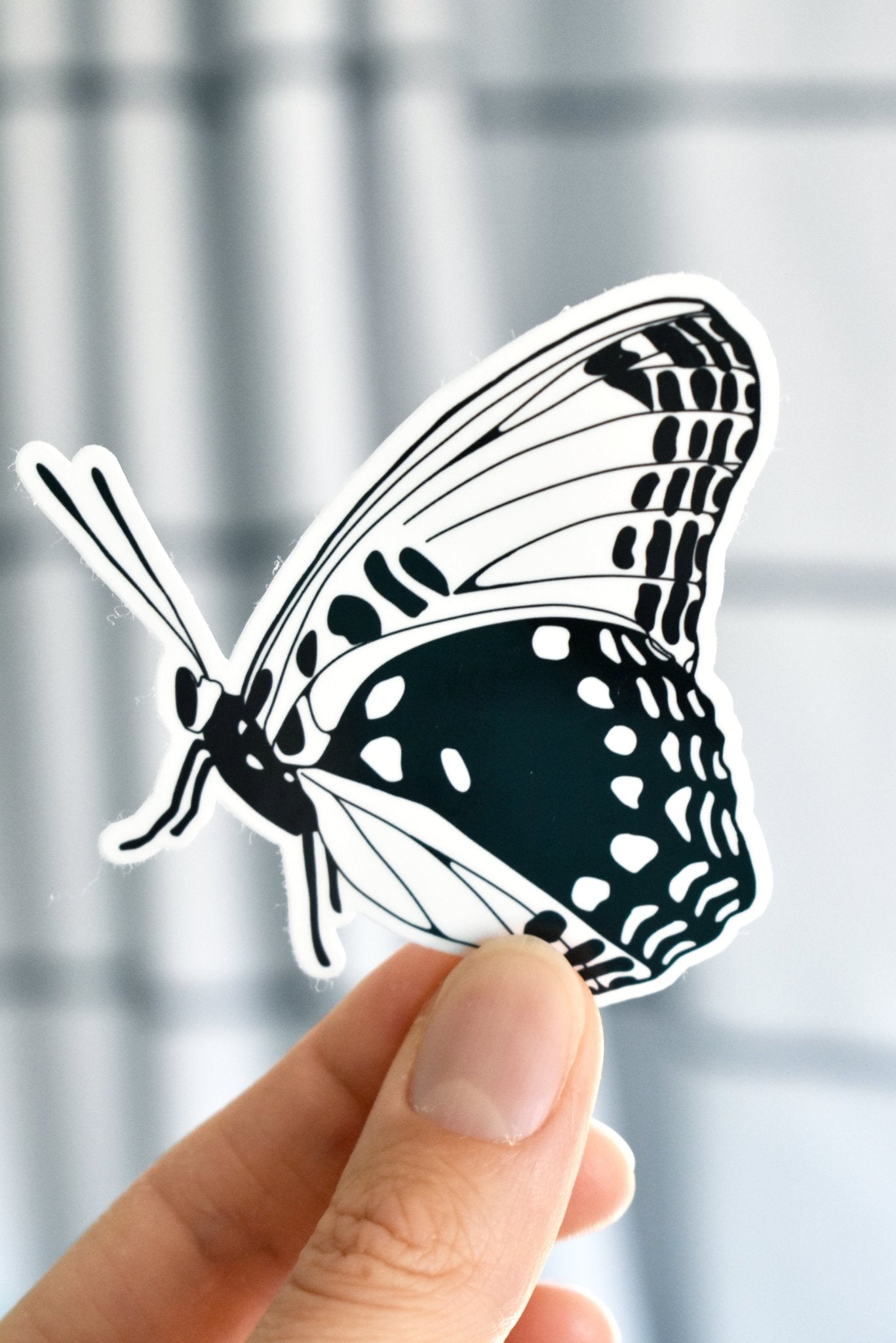 Black and white butterfly sticker - Eliza Anderson ArtEliza Anderson Art