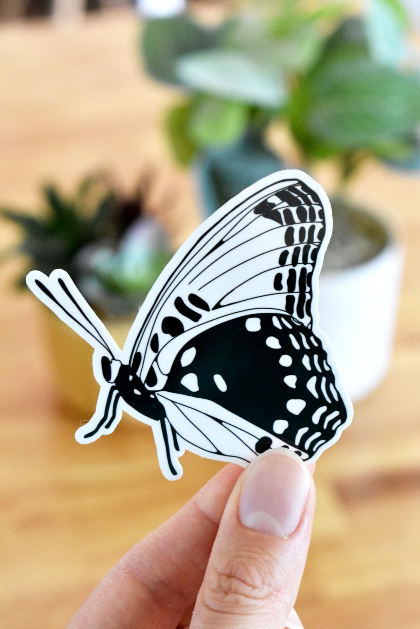 Black and white butterfly sticker - Eliza Anderson ArtEliza Anderson Art