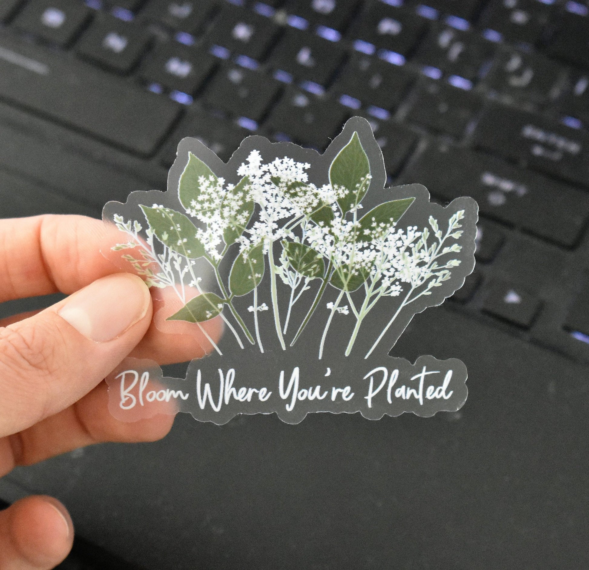 Bloom where you're planted clear sticker - Eliza Anderson ArtEliza Anderson Art