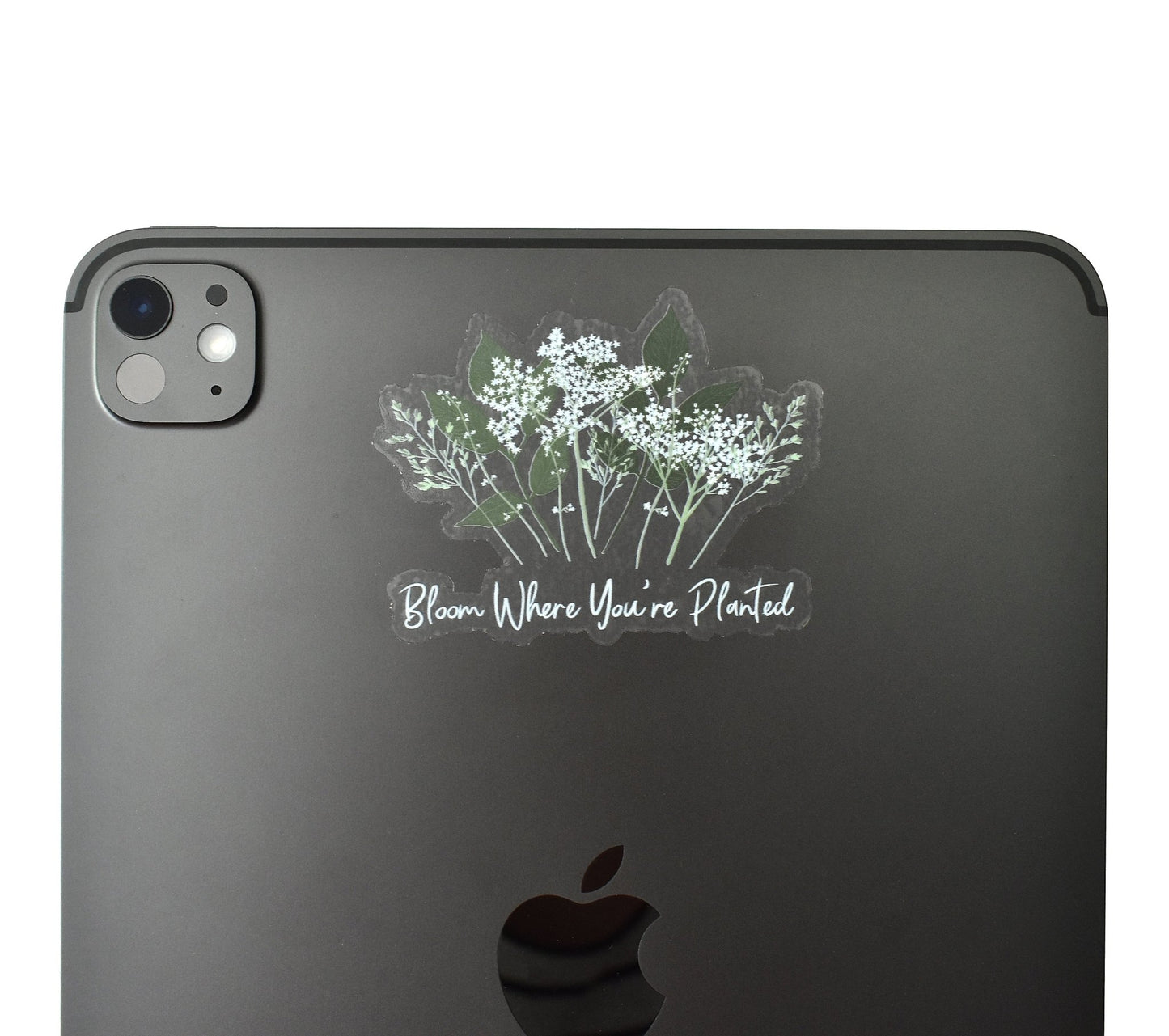 Bloom where you're planted clear sticker - Eliza Anderson ArtEliza Anderson Art