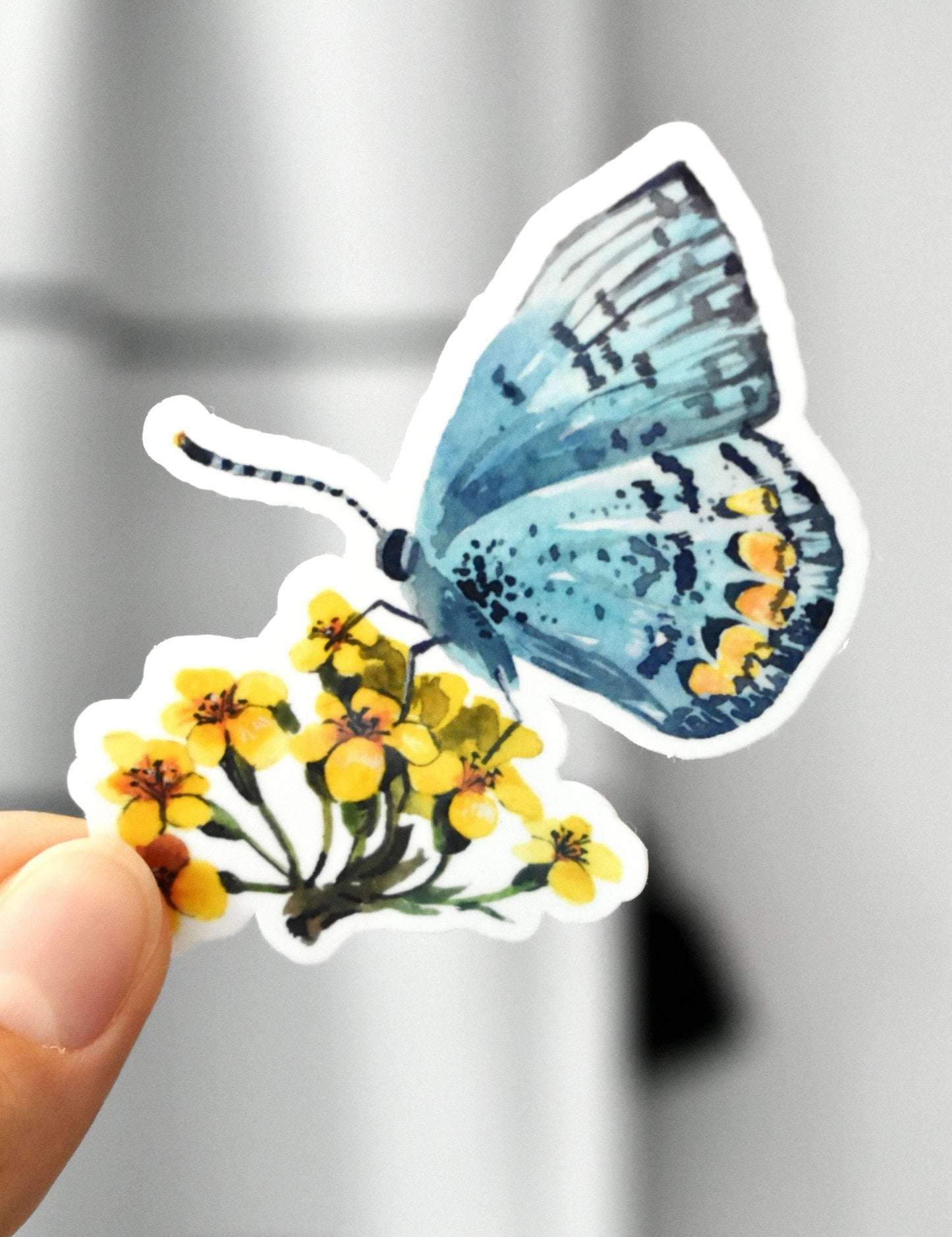 Blue butterfly sticker - Eliza Anderson ArtEliza Anderson Art