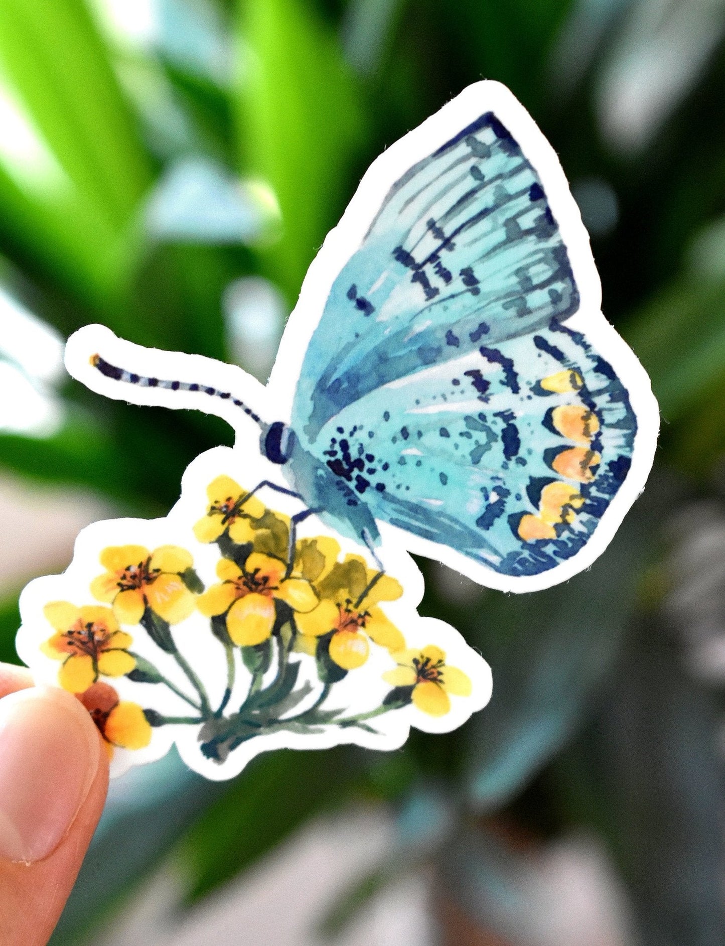 Blue butterfly sticker - Eliza Anderson ArtEliza Anderson Art