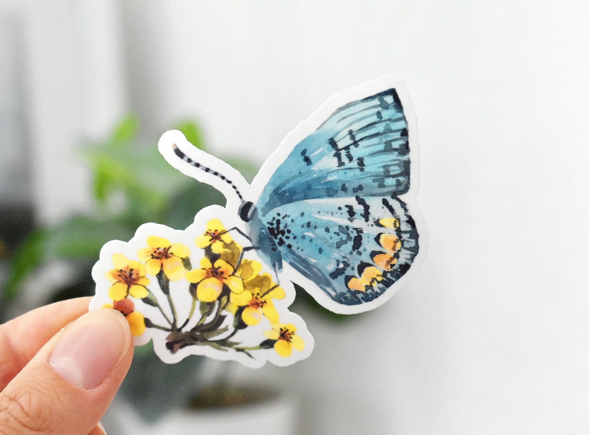 Blue butterfly sticker - Eliza Anderson ArtEliza Anderson Art